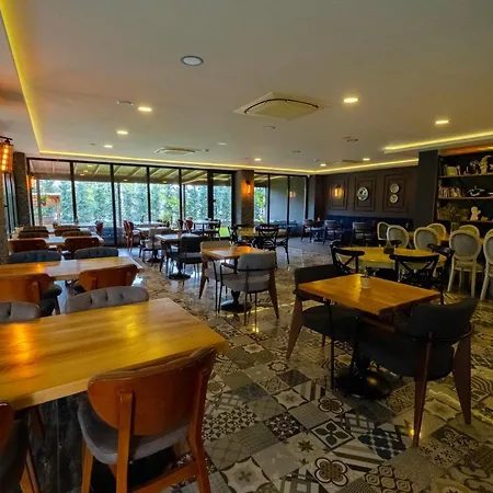 Eleia Iznik Hotel Bursa