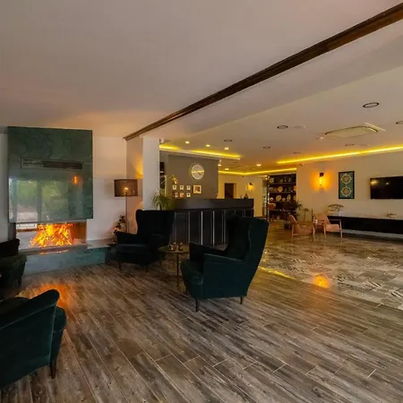 Hotel Eleia Iznik Bursa